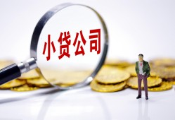 西安21个人借贷-西安21小额贷款官网-西安21身份证贷款